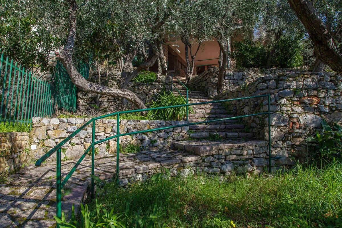Sentiero tra gli ulivi